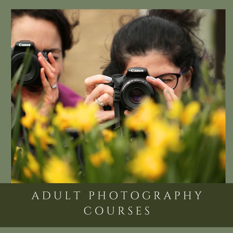 Adult photography class