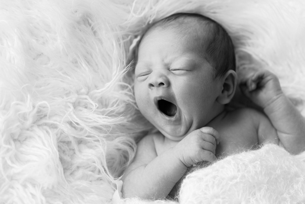baby portrait photographer bristol