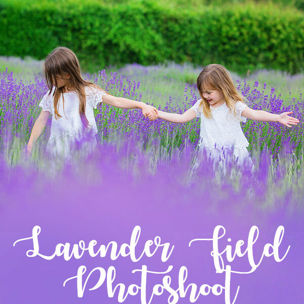 lavender photoshoot mh