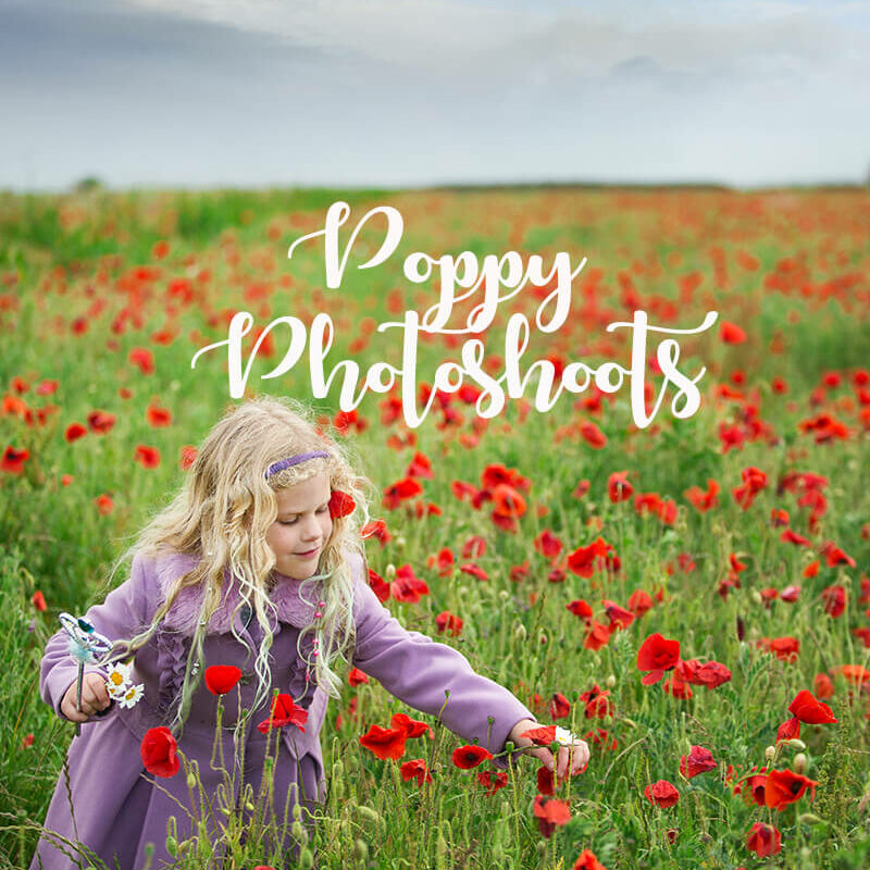 poppy field photo shoot bristol bath
