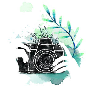 camera photography course