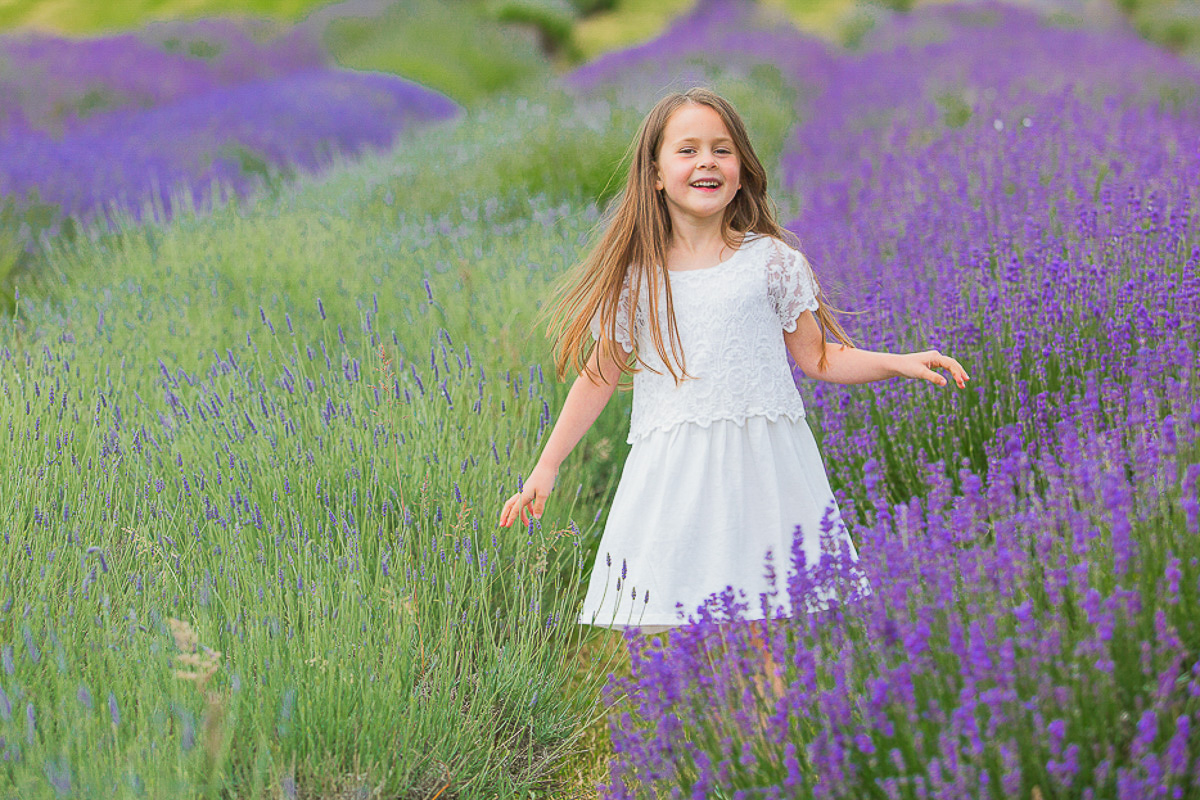 lavender photoshoot