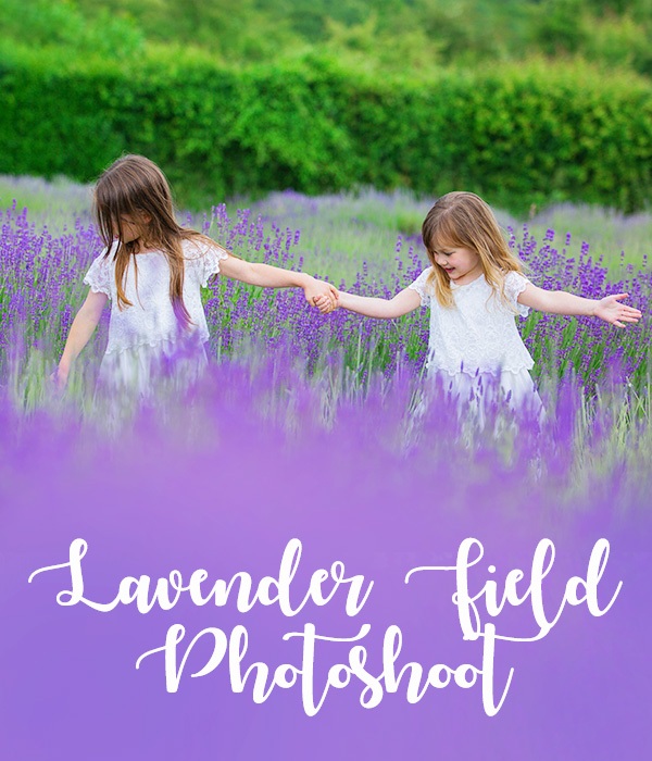 lavender photoshoot mh