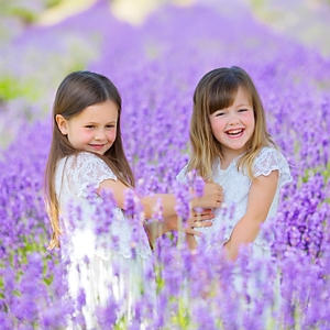 lavender photoshoot