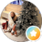 Yulia W Avatar